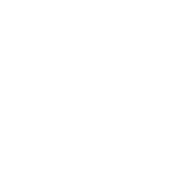 Logo blanco Reborn